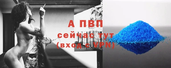 стаф Бронницы