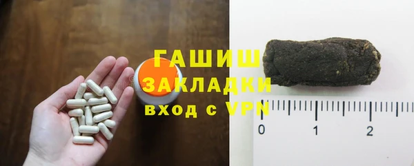 ГАЛЛЮЦИНОГЕННЫЕ ГРИБЫ Бородино