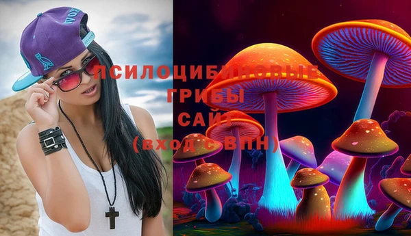 стаф Бронницы