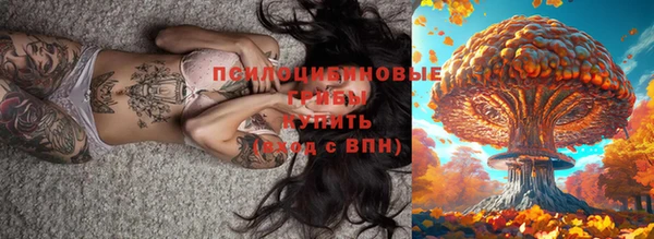 ГАЛЛЮЦИНОГЕННЫЕ ГРИБЫ Бородино