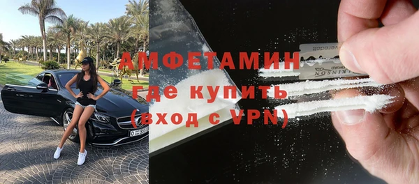 ГАЛЛЮЦИНОГЕННЫЕ ГРИБЫ Бородино