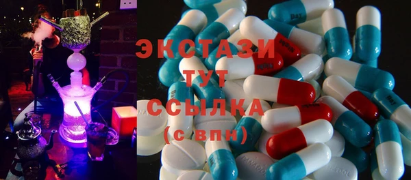 ГАЛЛЮЦИНОГЕННЫЕ ГРИБЫ Бородино